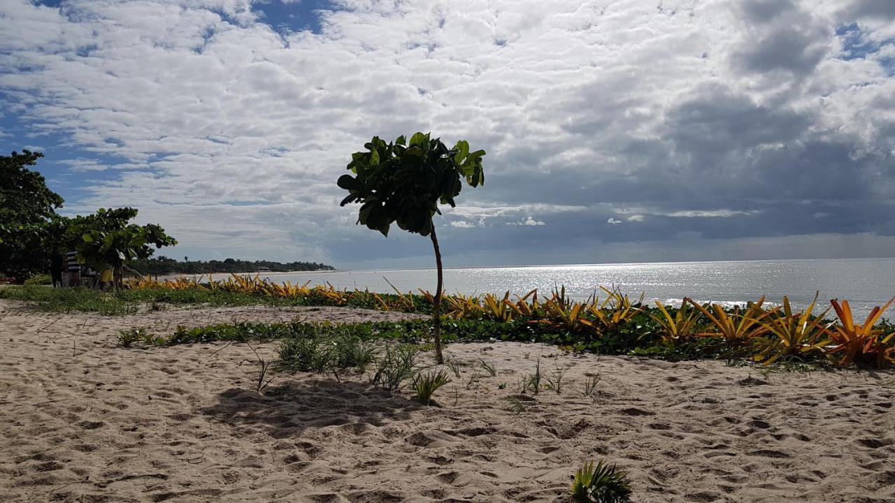 Ondas * Porto Seguro